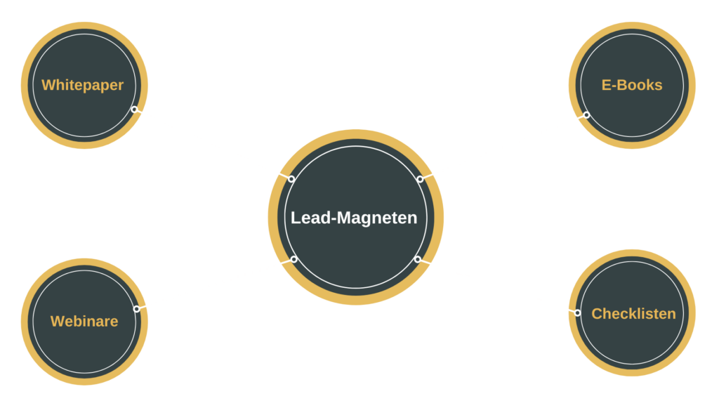 Infografik über mögliche Beispiele von Lead Magneten